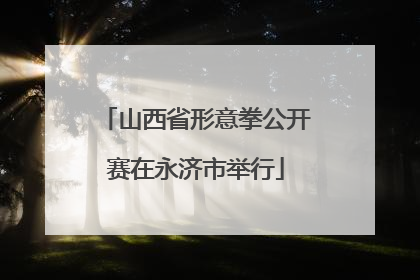 山西省形意拳公开赛在永济市举行